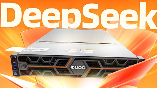 本地部署DeepSeek，什么服務(wù)器更具性價比?
