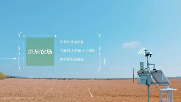 當(dāng)有機(jī)農(nóng)業(yè)遇上物流科技，京東物流攜手西充講述鄉(xiāng)村振興新故事
