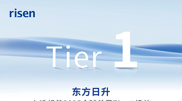東方日升入選標(biāo)普全球首屆Tier 1榜單